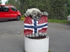 18-06-n-oslo-troll-norvegien