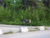29-06-s-renne